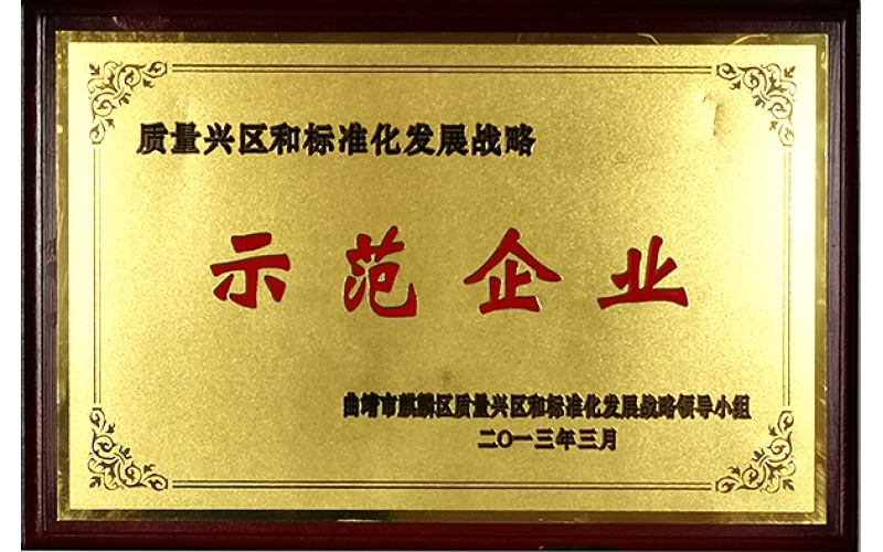 質量興區(qū)和標準化發(fā)展戰(zhàn)略示范企業(yè)（2013年）