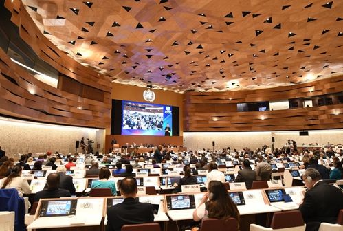 盧沙野大使談臺(tái)海局勢(shì) 決不允許臺(tái)灣從祖國分裂出去